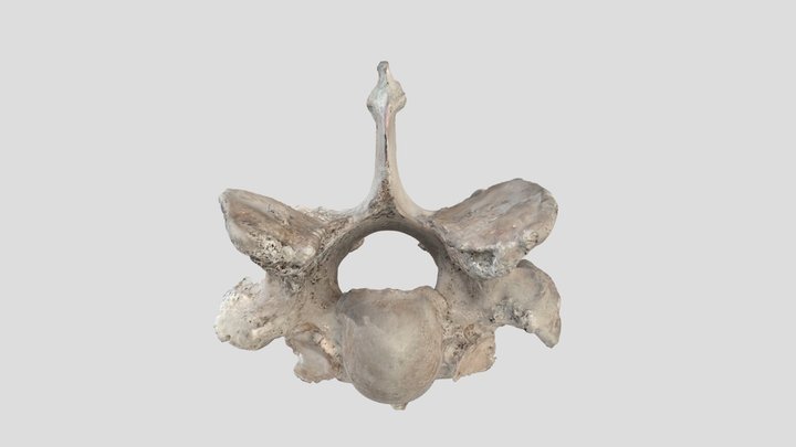 Edge_T1 3D Model