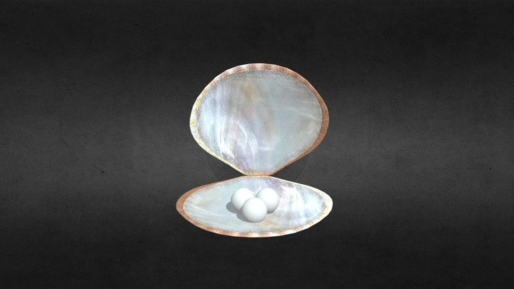 Oyster Collectable 3D Model