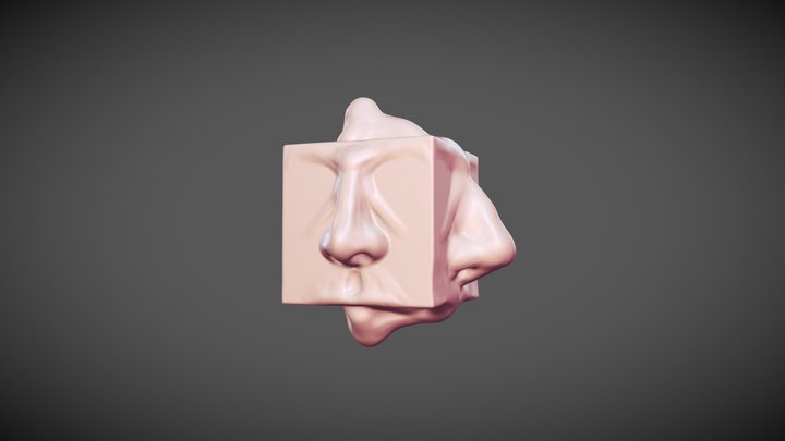 Nose Cube 3D Model