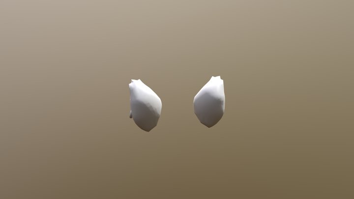 Apmau Ein ears animated 3D Model