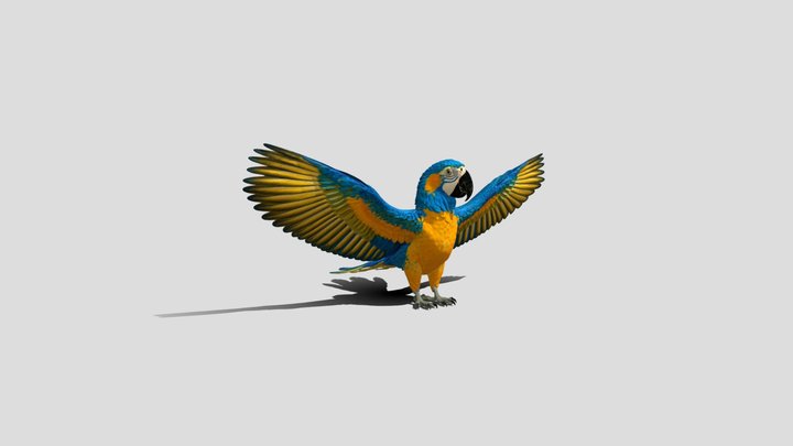 Sunburst Blue-and-Gold Macaw 3D Model Free – Modèle 3D gratuit STL