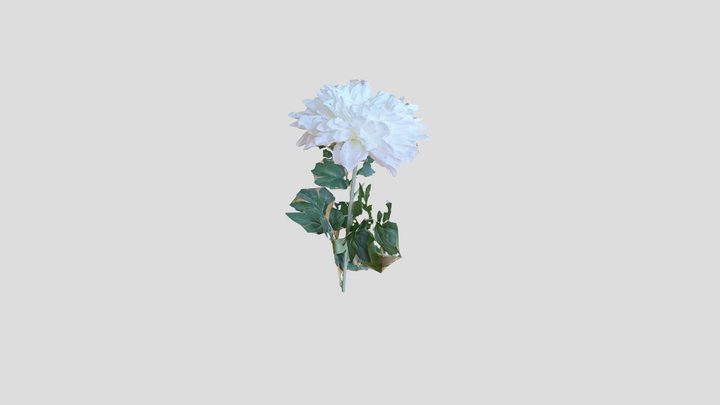 Fiore