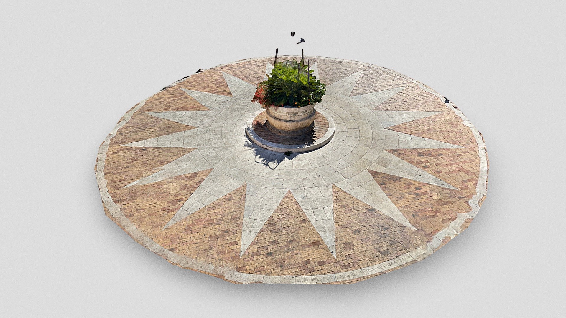 Day 214: Star of the Baux (Cassis) - 1scanaday