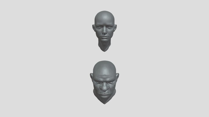 HW_03 two heads 3D Model