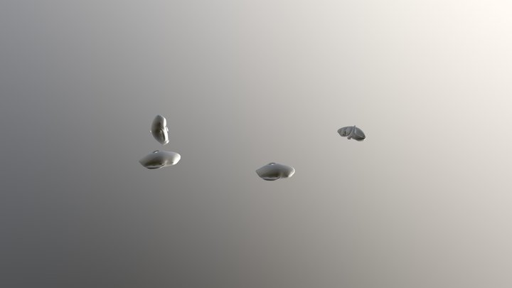 Whales 01 3D Model