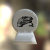 Loading 3D Model