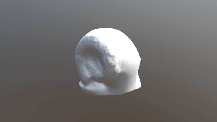 small scan 3D Model