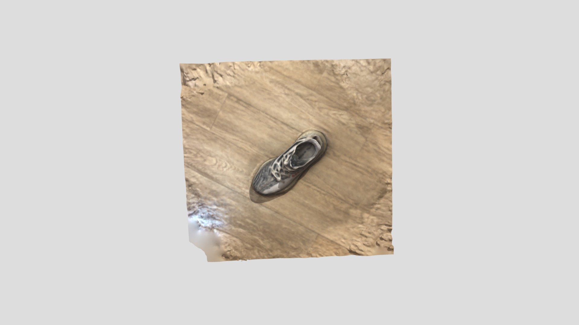 Yeezy Shoe