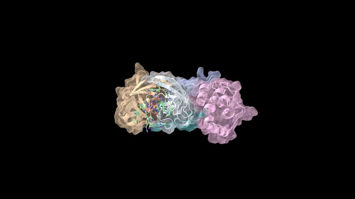 The Main Protease of SARS-CoV-2 and PF-07321332 3D Model