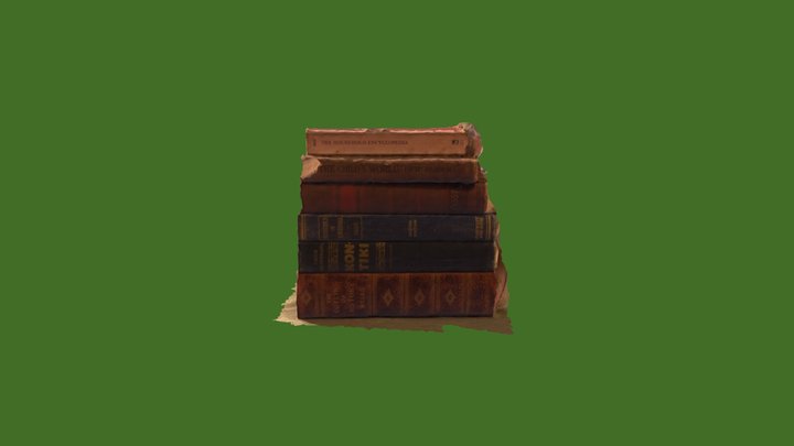 Books 1.1 3D Model