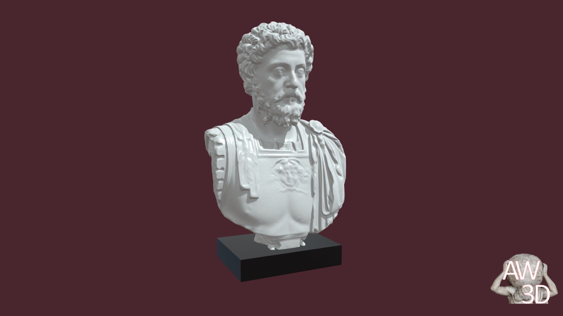 101.FC.11 Aurelius Portrait MSR