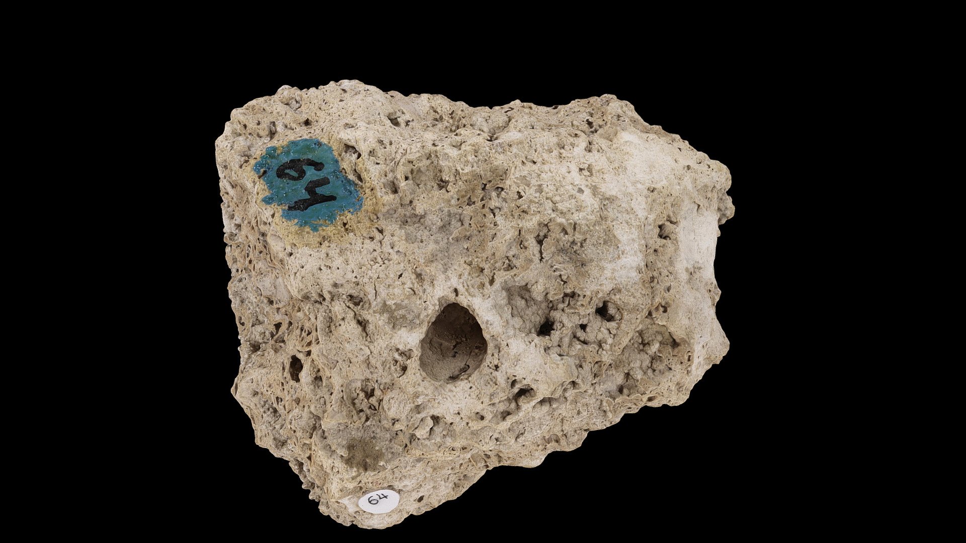 Calcareous tufa #64 05-06-2020