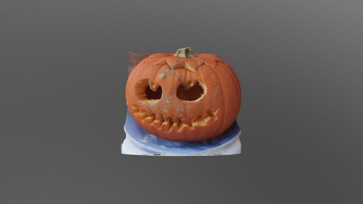 My beautiful 3D model from photos 3D Model