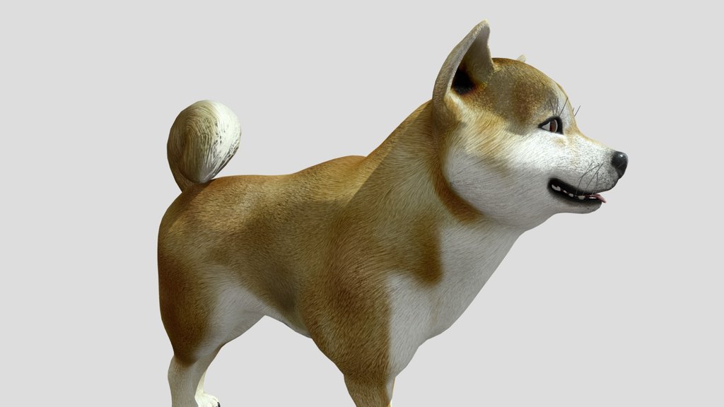 Friendly Dog