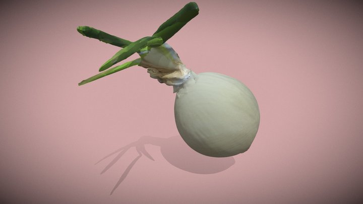Sprouted Onion 3D Model