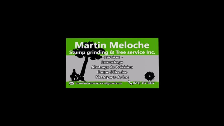 Martin Meloche Business Card 3D Model