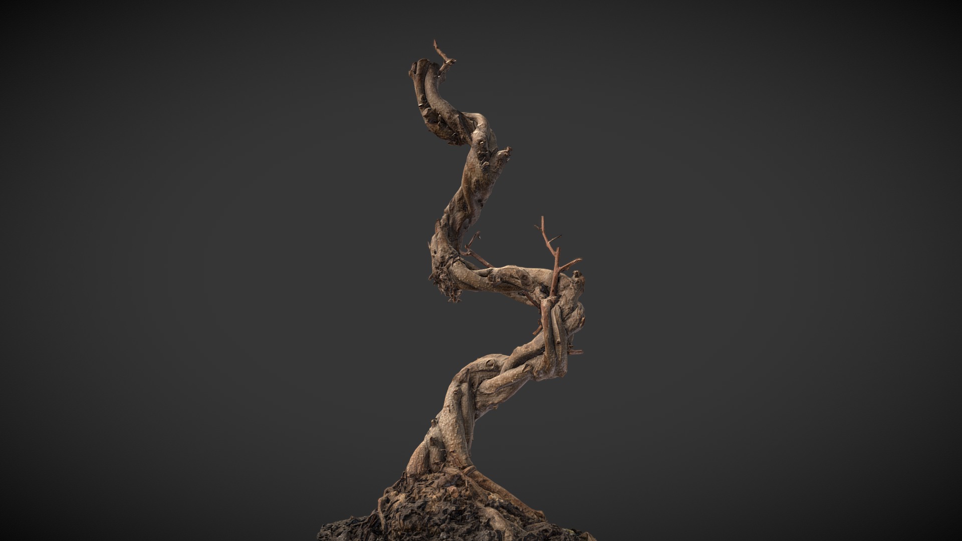 3D model Bonsai 3D scan - This is a 3D model of the Bonsai 3D scan. The 3D model is about a tree stump with a branch.