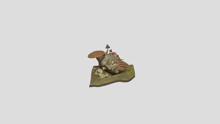 Mushroomed Head - Tom Dorpmans 3D Model