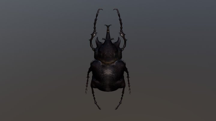 獨角仙 3D Model