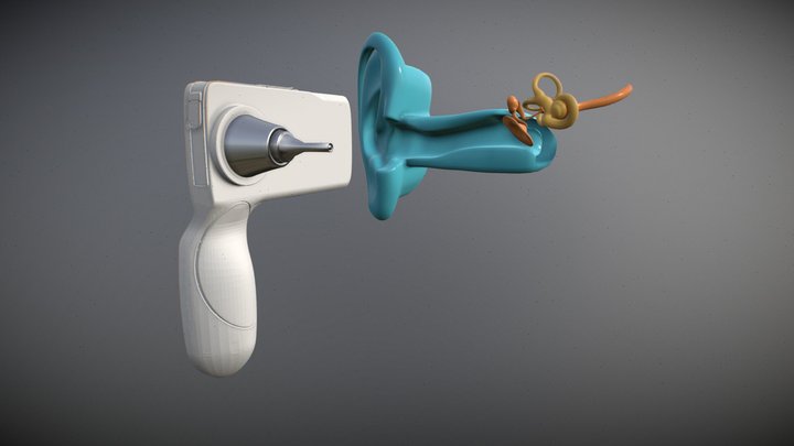 NEW EAR 3D Model