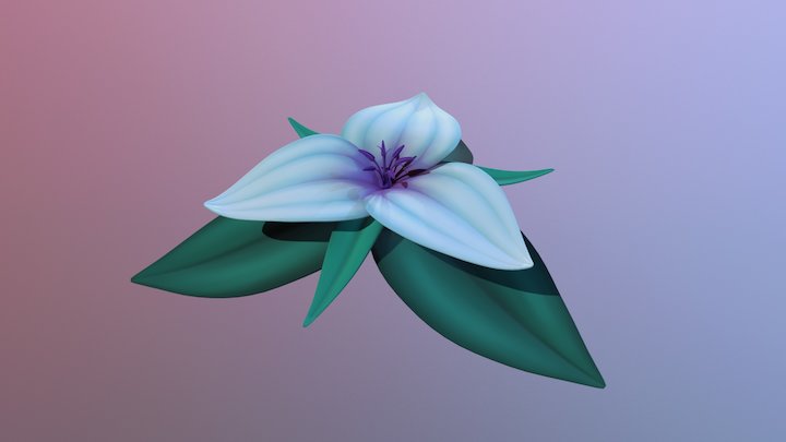Stylized Trillium Flower 3D Model