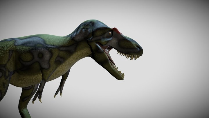 Daspletosaurus 3D Model