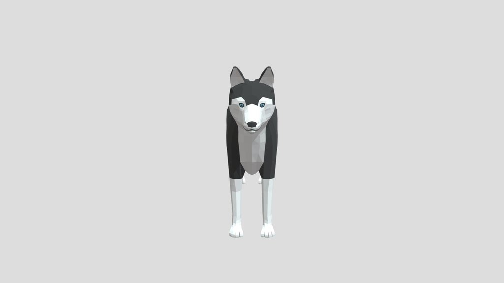 Low Poly Husky