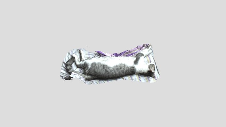 Gato 3D Model