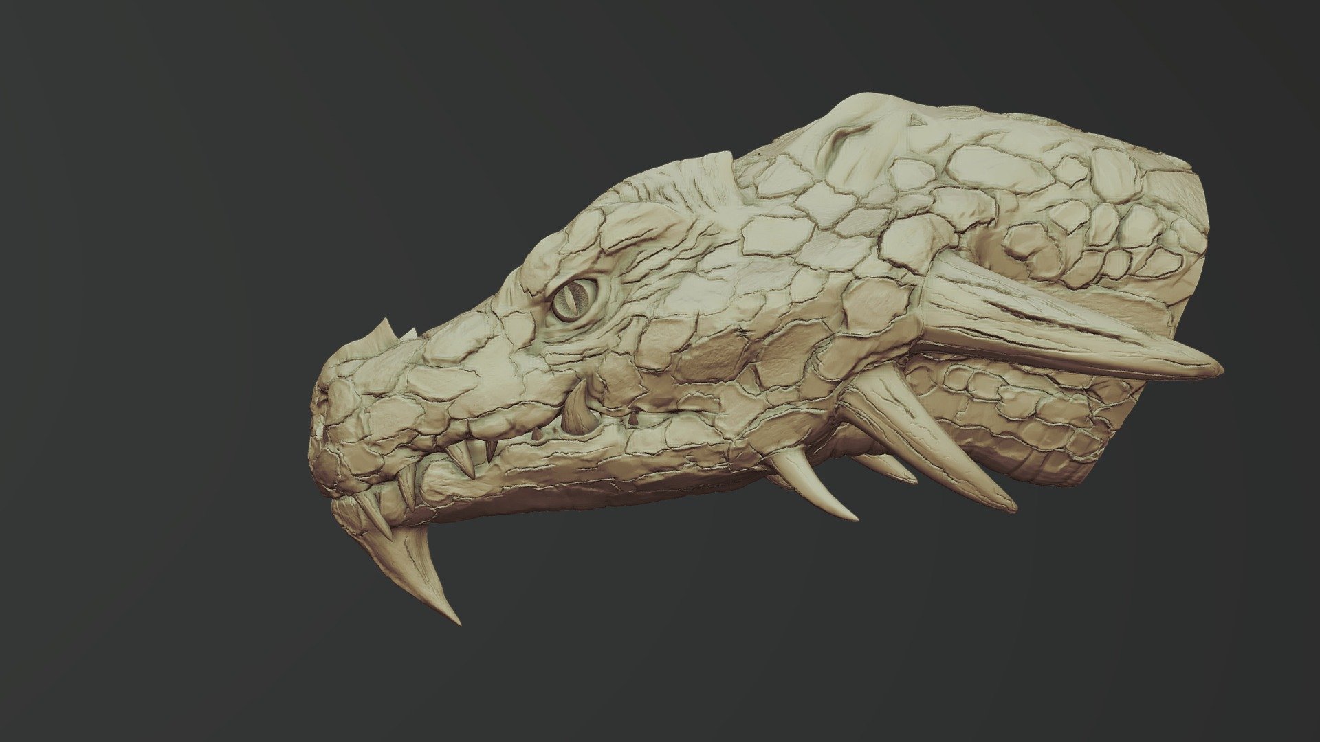 Dragon Head Sculpt 01