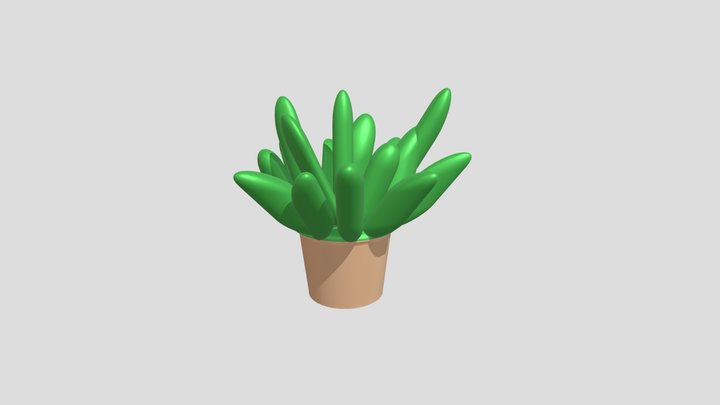 Succulenta 3D Model