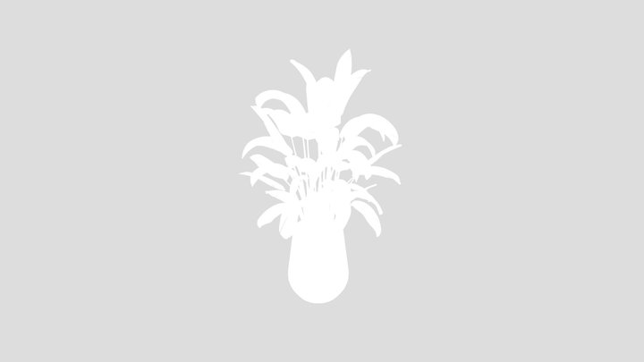 Hq Plants Bird Of Paradisebird Vase