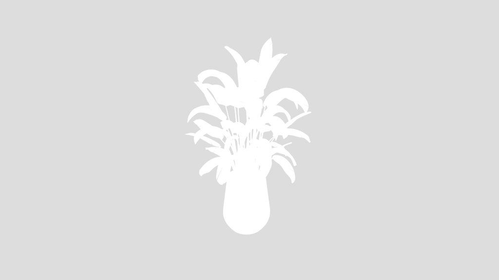 Hq Plants Bird Of Paradisebird Vase