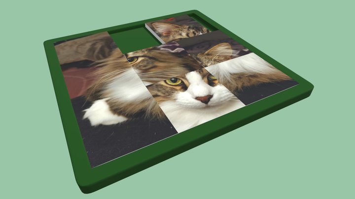 Sliding Cat Puzzle 3D Model
