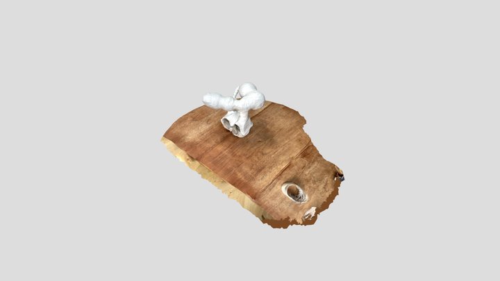 A TRNIO Model 3D Model