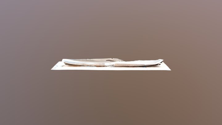 canoa monóxila remate 3D Model