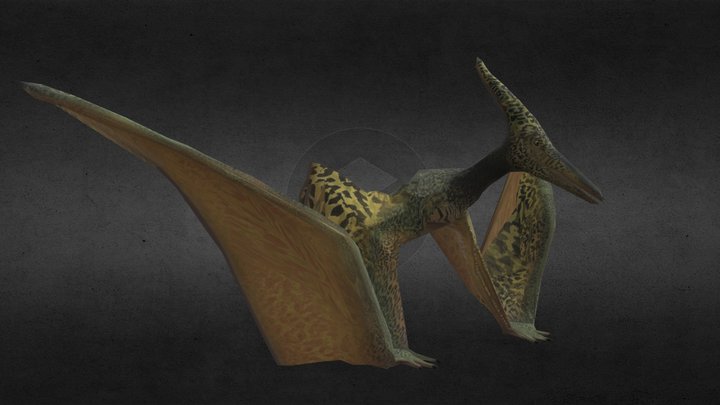 unity pteranodon