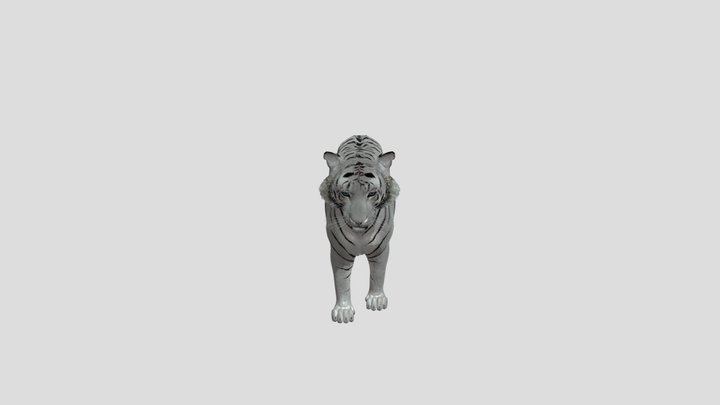 тигр 3D Model