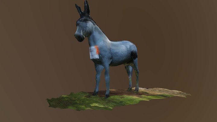 Donkey 3D Model