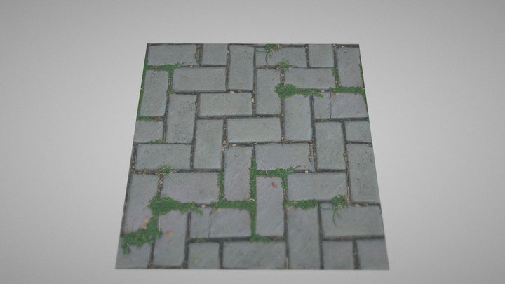 material street rockroad  brick street withlawns 3D Model