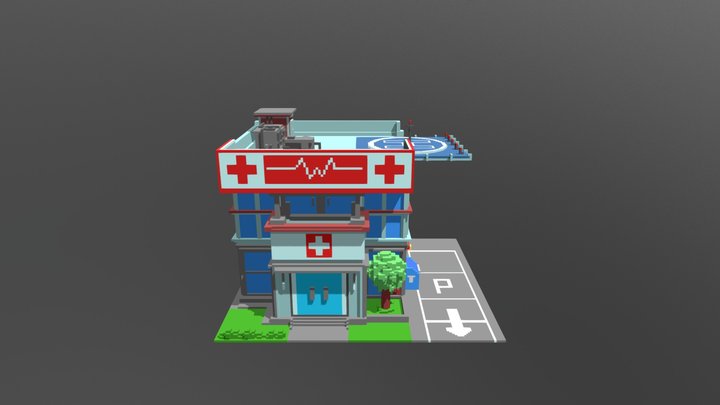 Voxel Hospital 3D Model