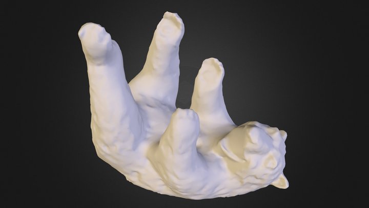 polar-bear-1910-0105-2014 3D Model