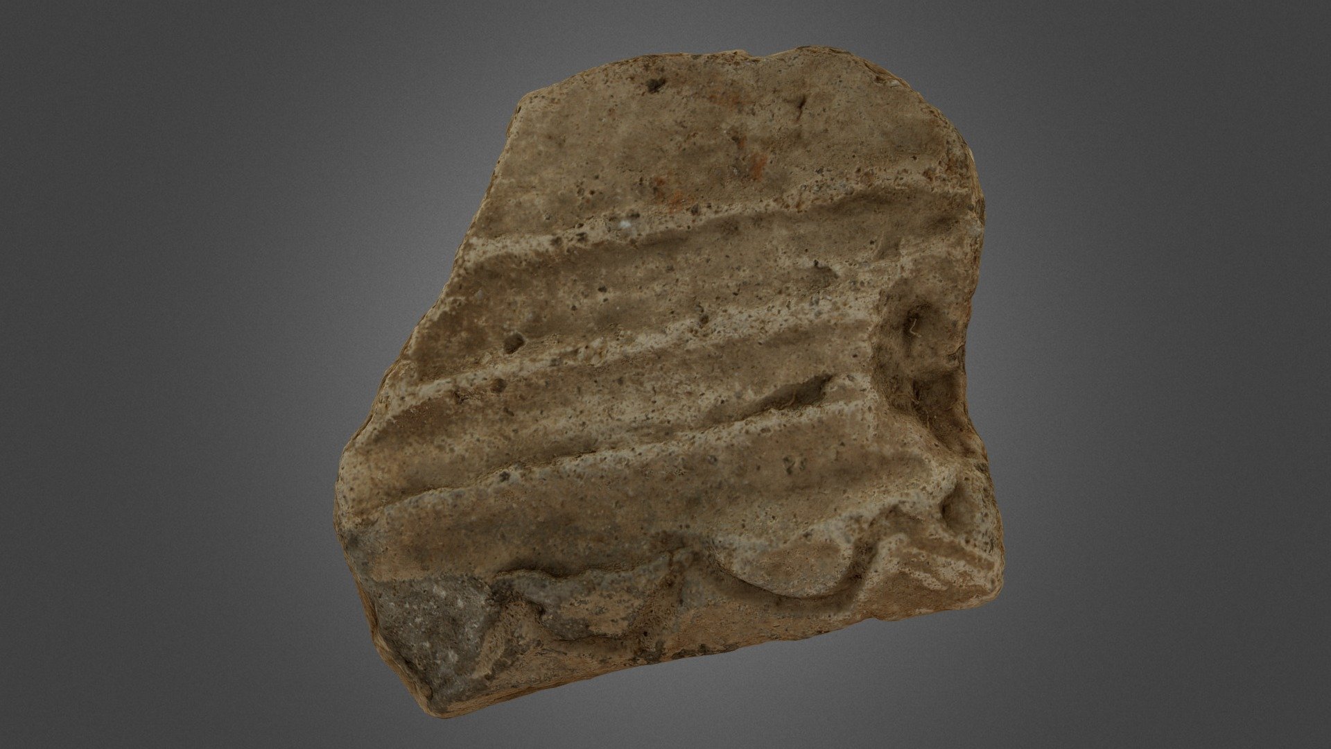 Скребок для шкур - 3D model by VLeonteva-GF21 [719b167] - Sketchfab