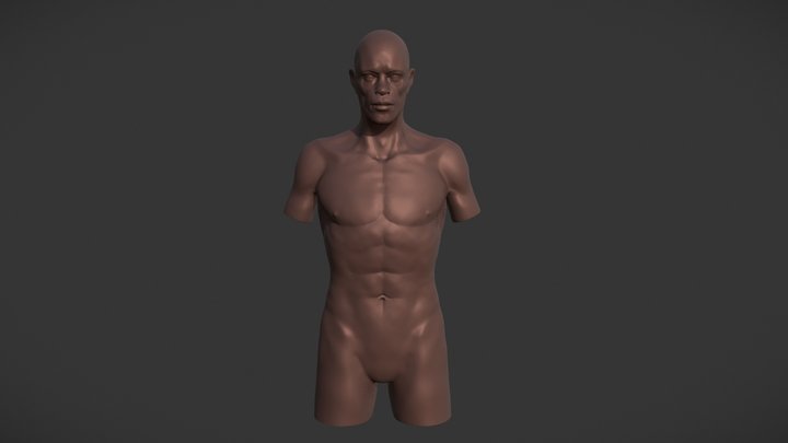 Torso Magro 3D Model