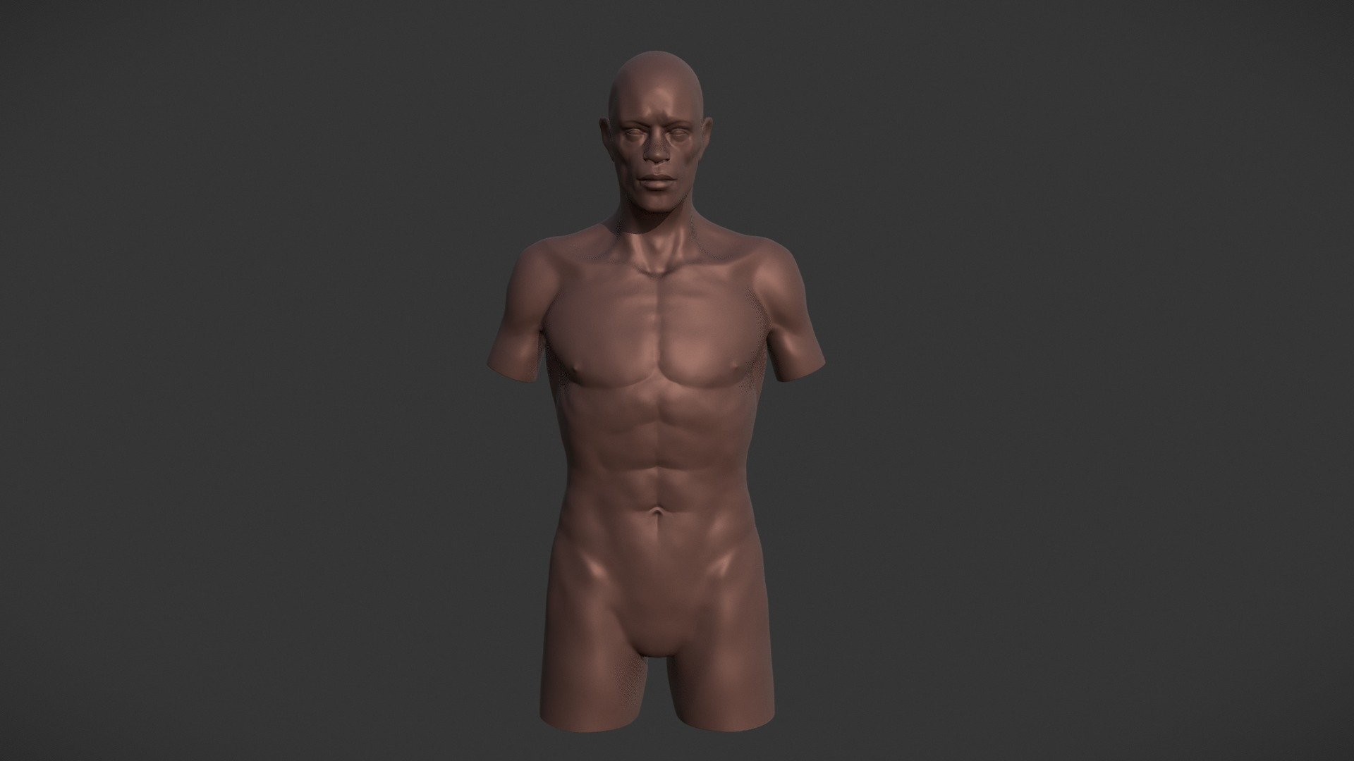 Torso Magro
