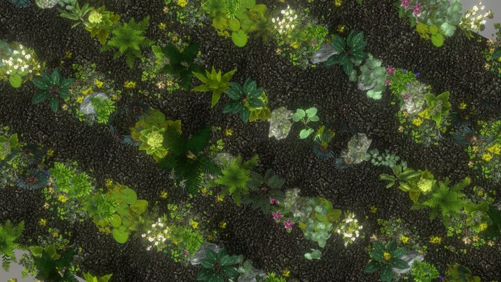 Plants 3D Model