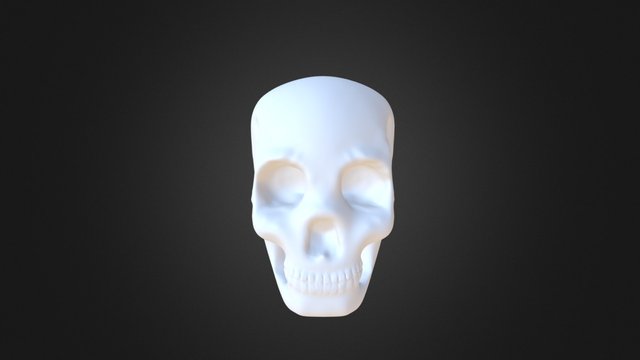 Cranio Com Dente 3D Model