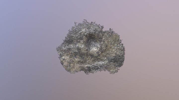 19 (2/2) 3D Model