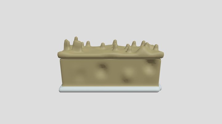 Stony chest 3D Model