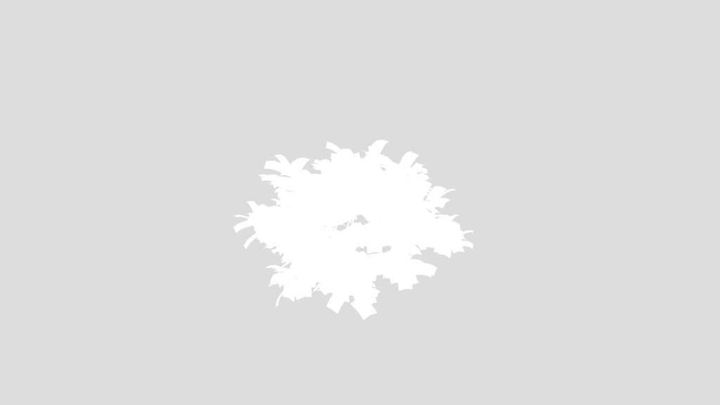 Shrub