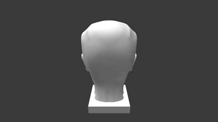 Face Anatomy 3D Model